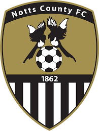 https://img.nywsdbj.com/img/football/team/9e230c89a846b9cadf91884918fa7611.png